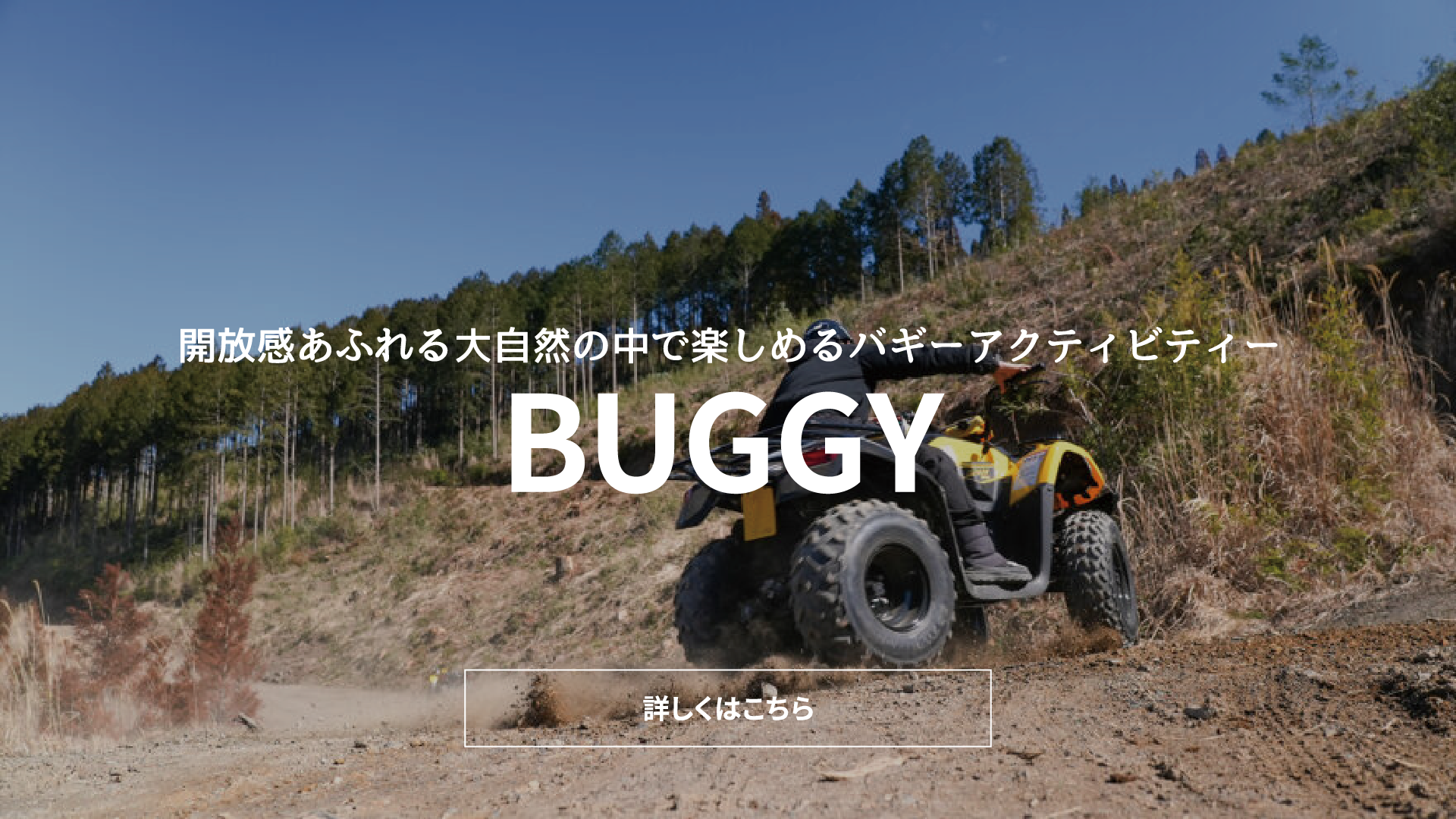 BUGGY